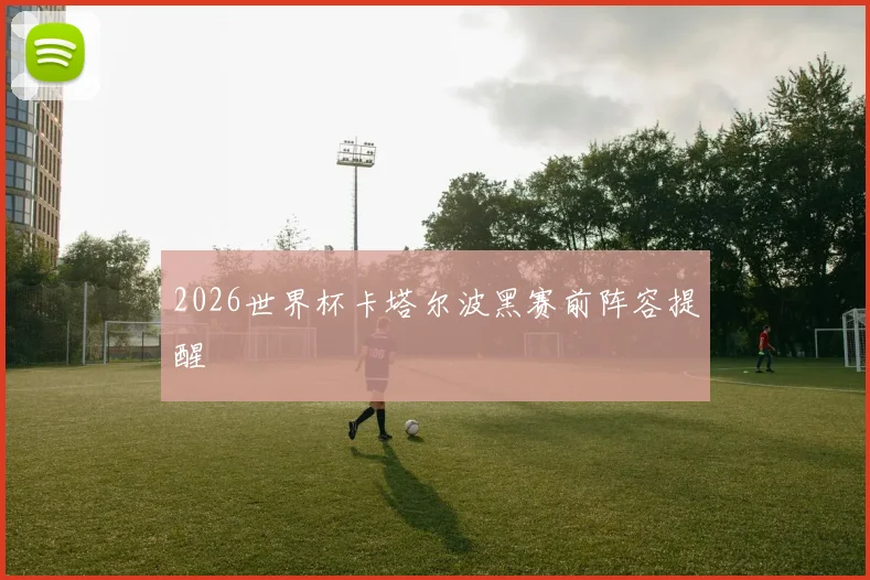 2026世界杯卡塔尔波黑赛前阵容提醒
