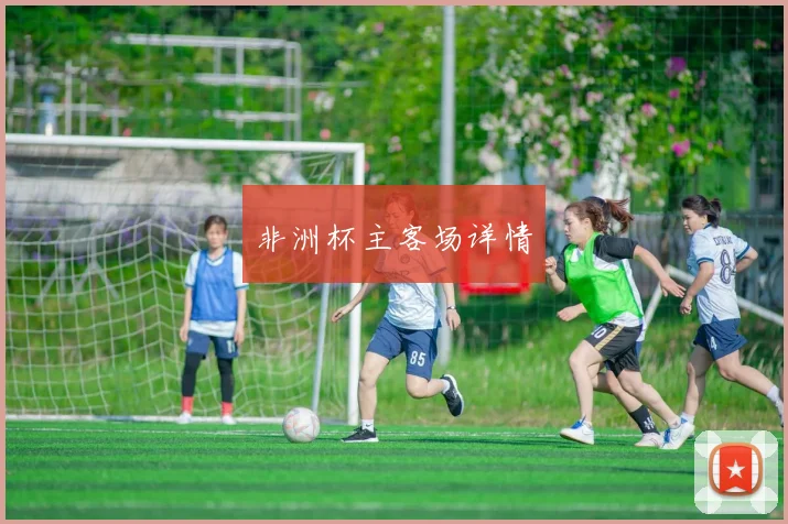 非洲杯主客场详情